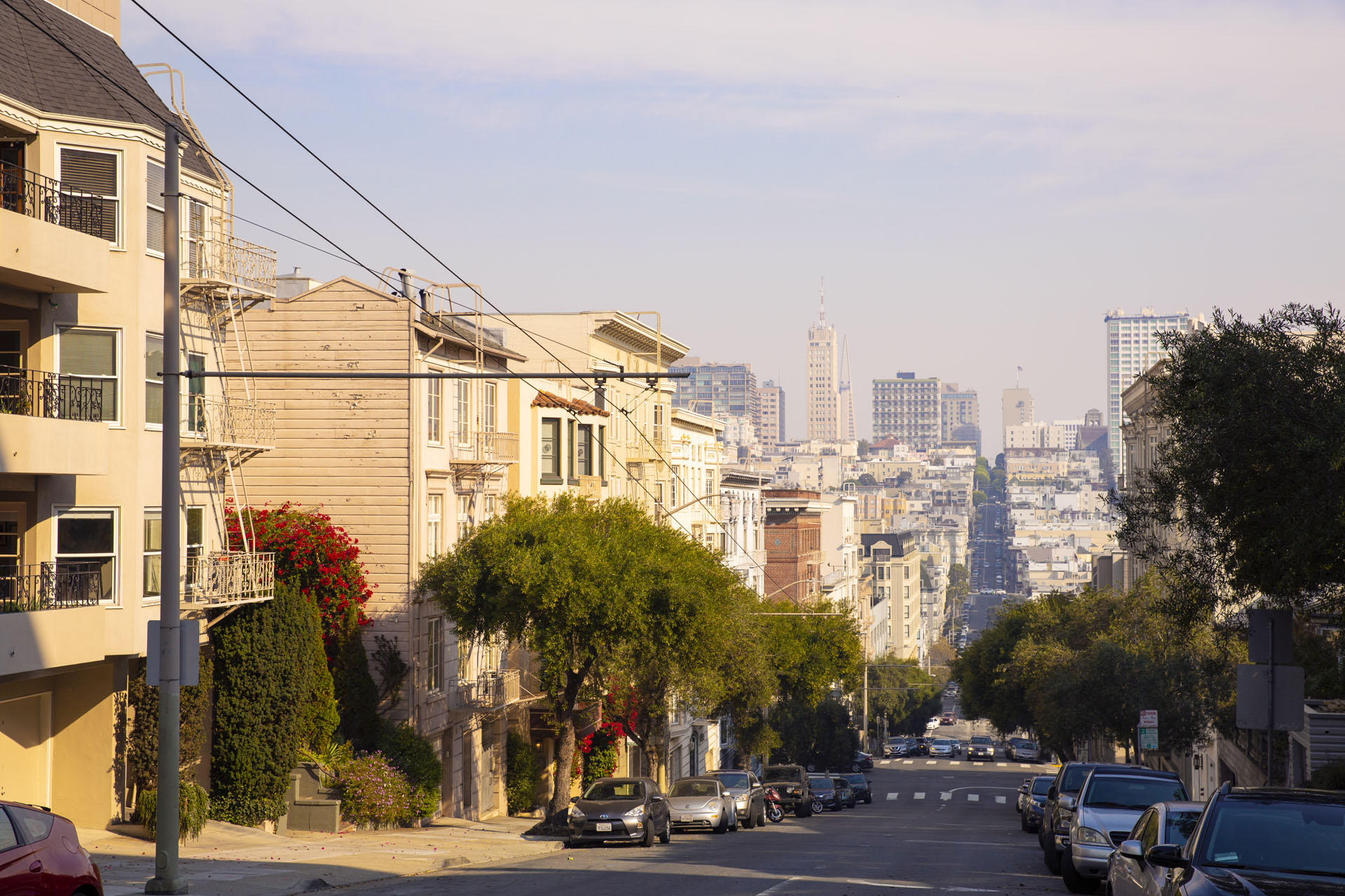 Pacific Heights Neighborhood Photo 1