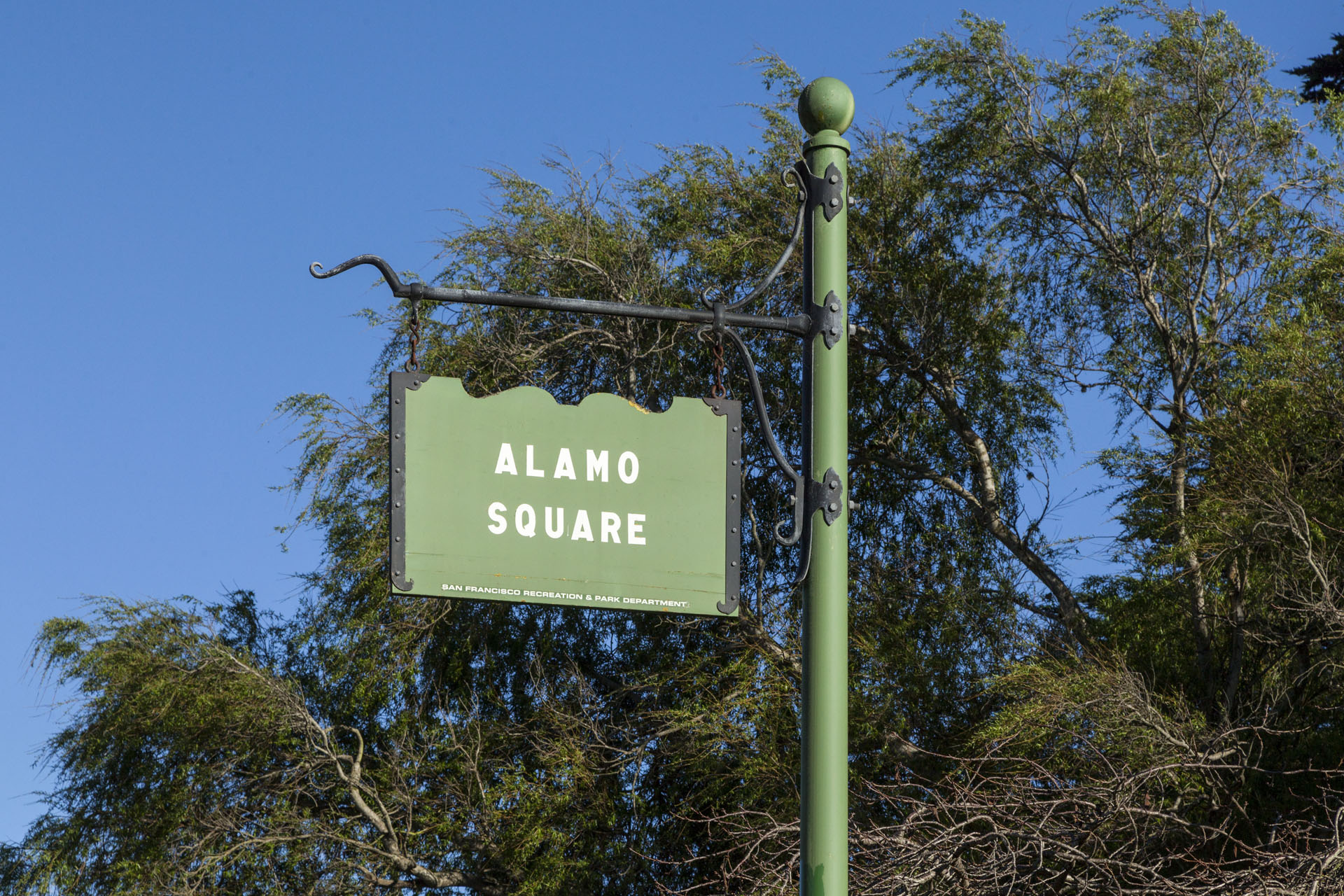 Alamo Square Neighborhood Photo 4