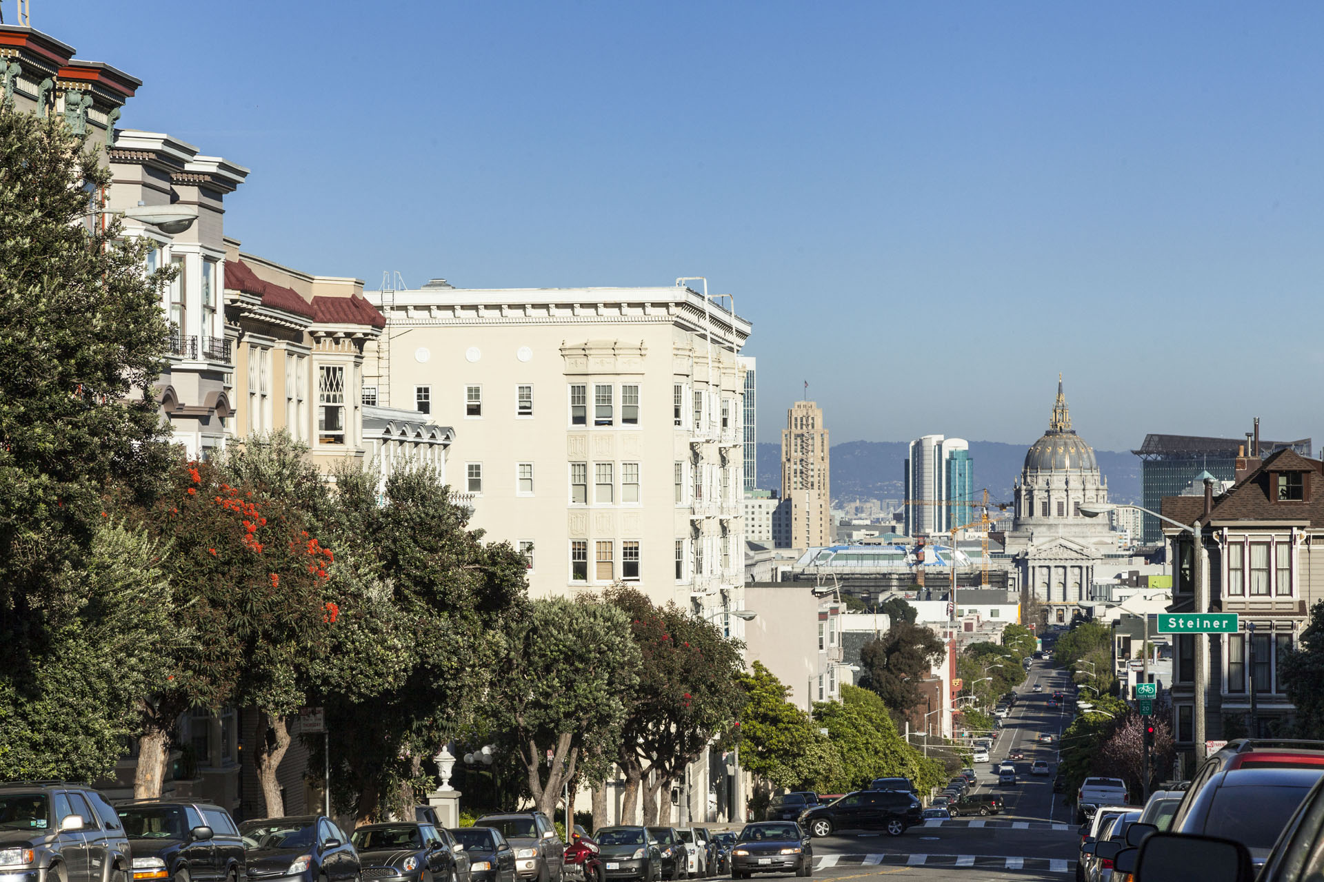 Alamo Square Neighborhood Photo 5