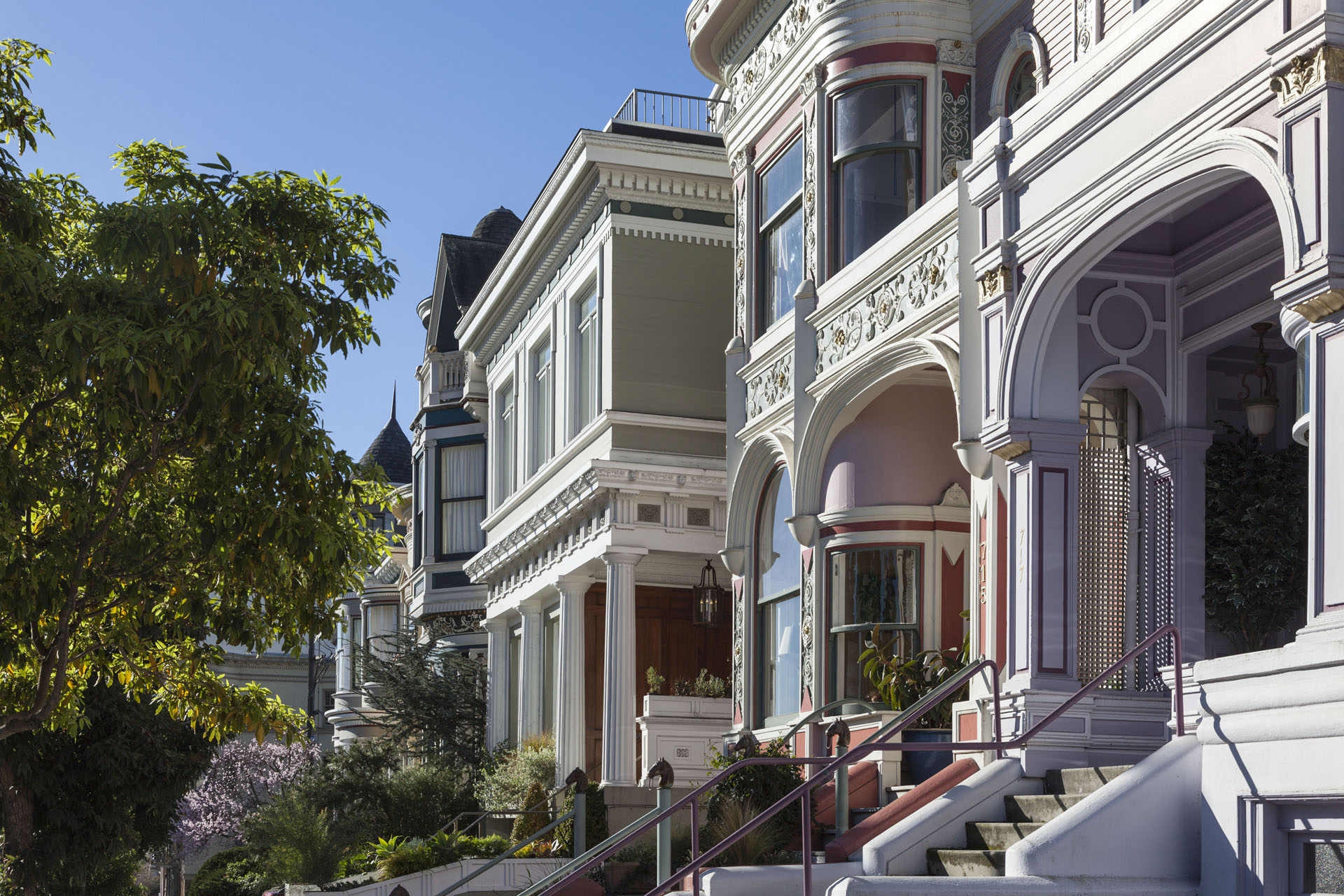 Alamo Square Neighborhood Photo 7