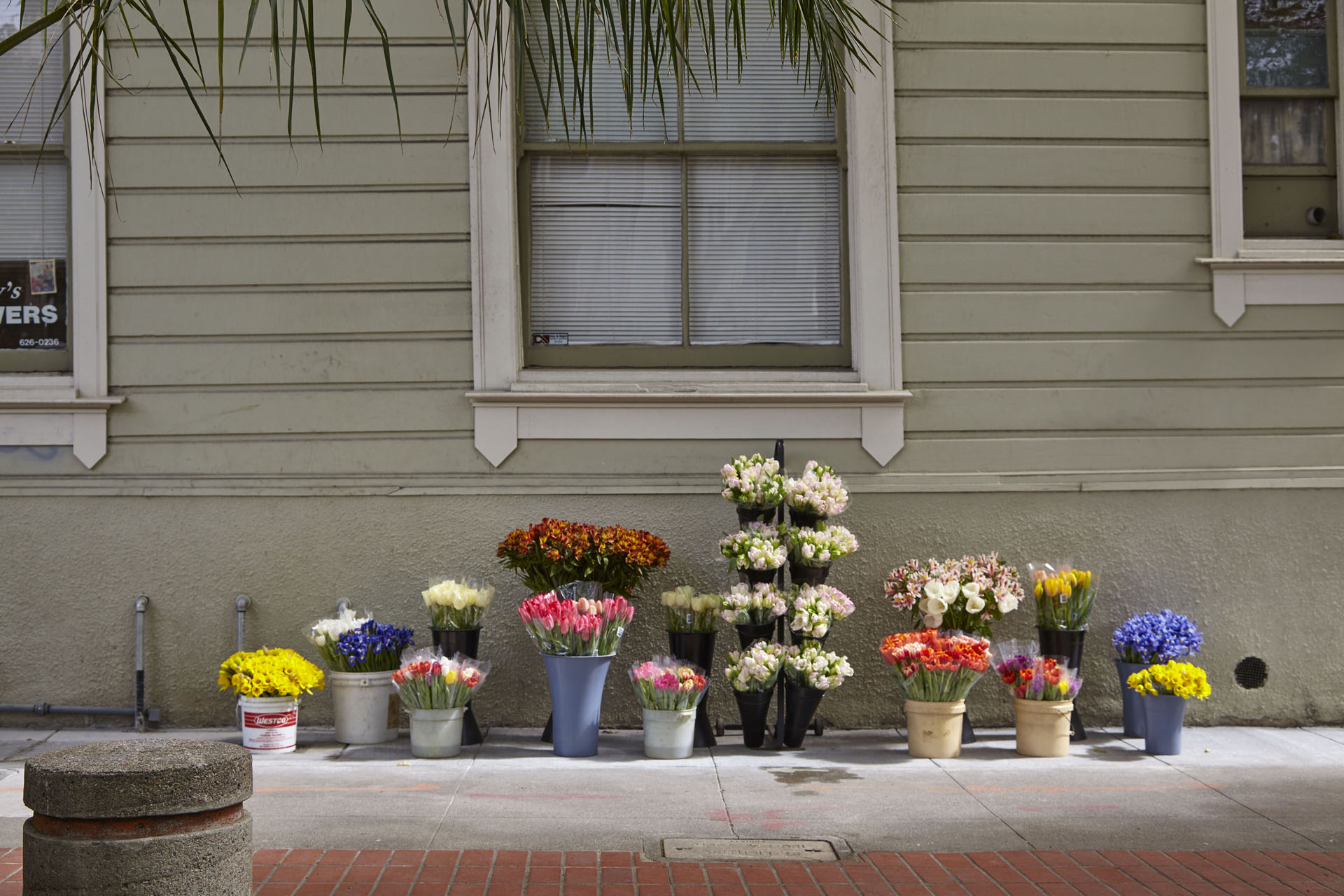 Duboce Triangle Neighborhood Photo 7