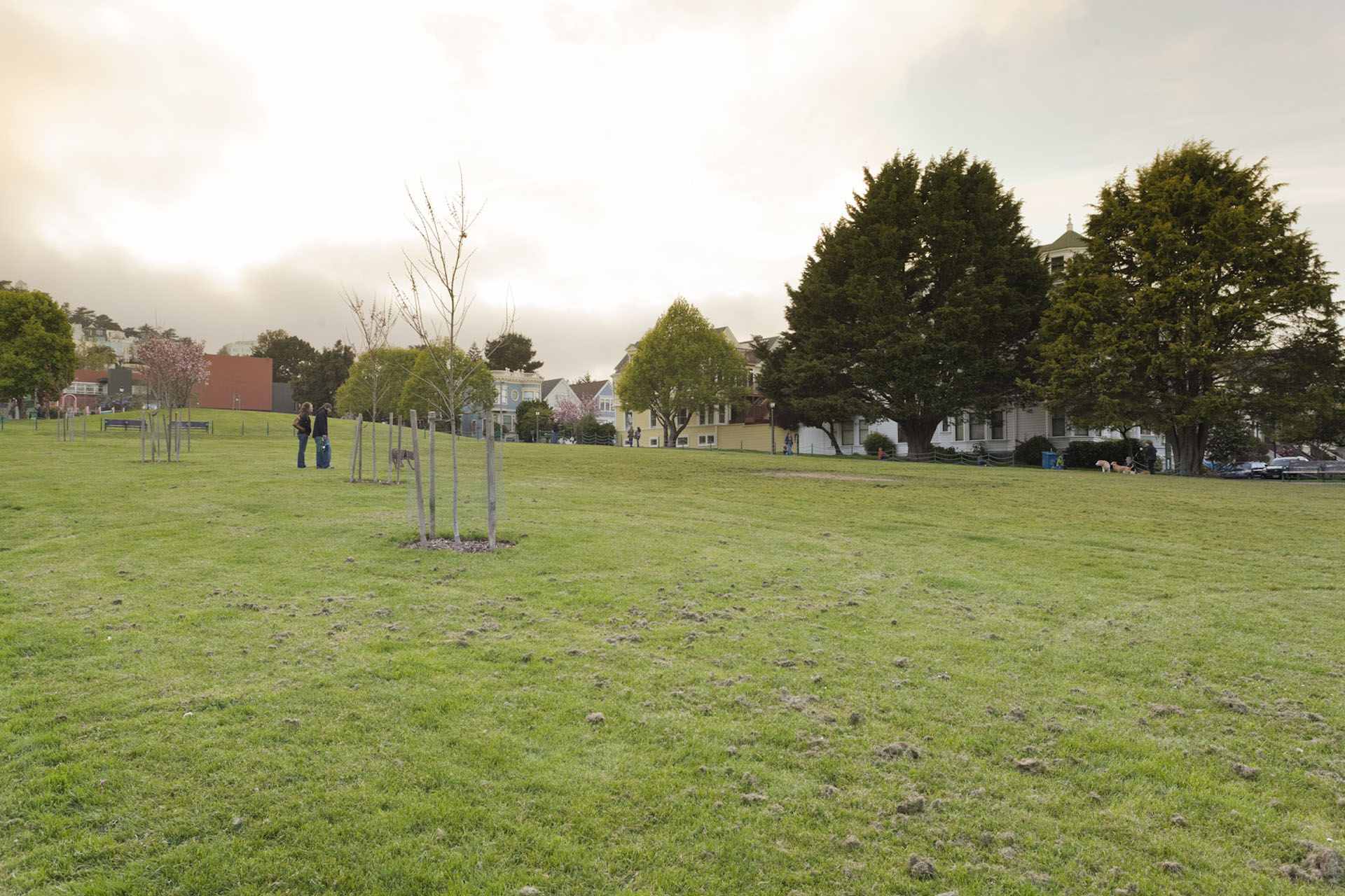 Duboce Triangle Neighborhood Photo 3