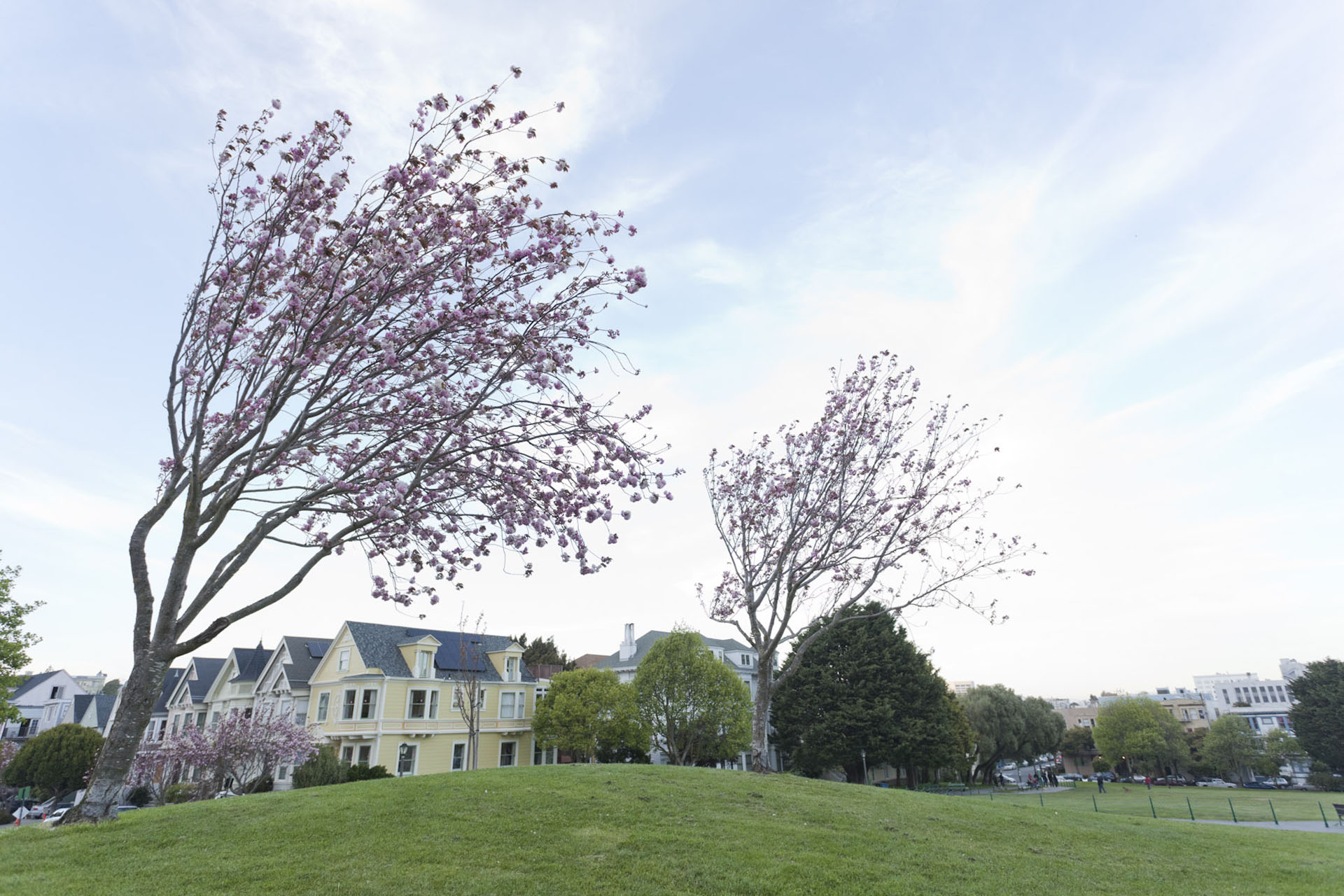 Duboce Triangle Neighborhood Photo 4