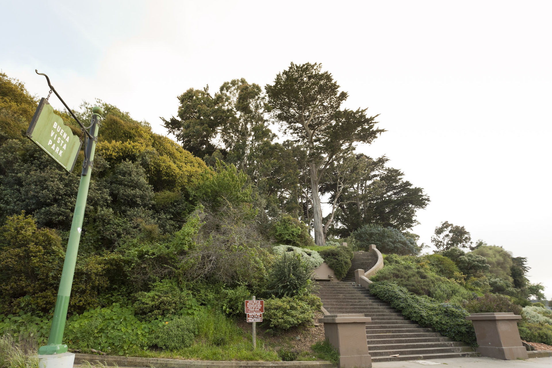 Haight Ashbury Neighborhood Photo 5