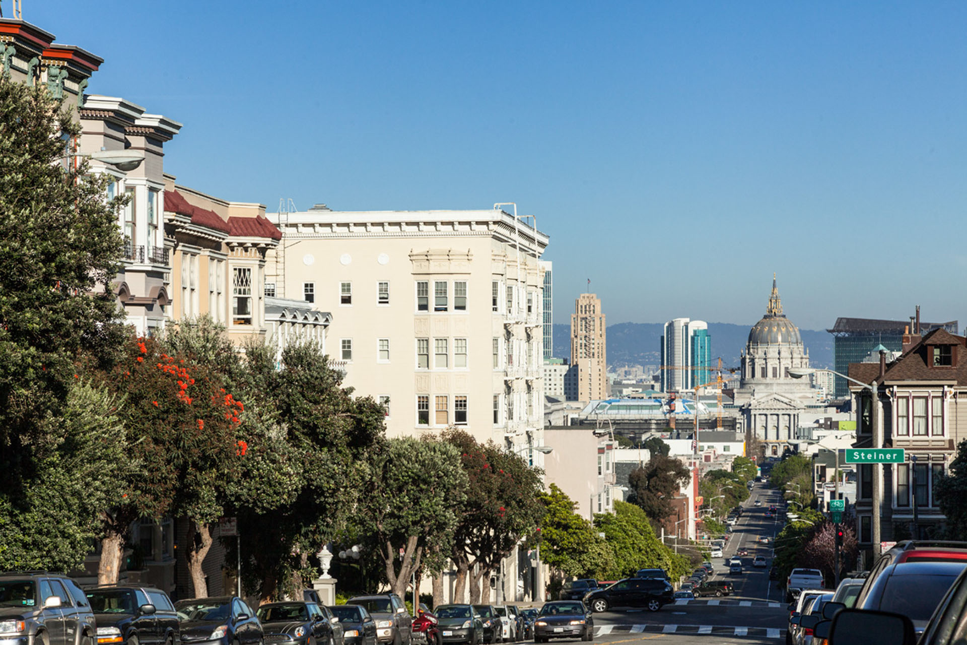 Lower Pacific Heights Neighborhood Photo 1