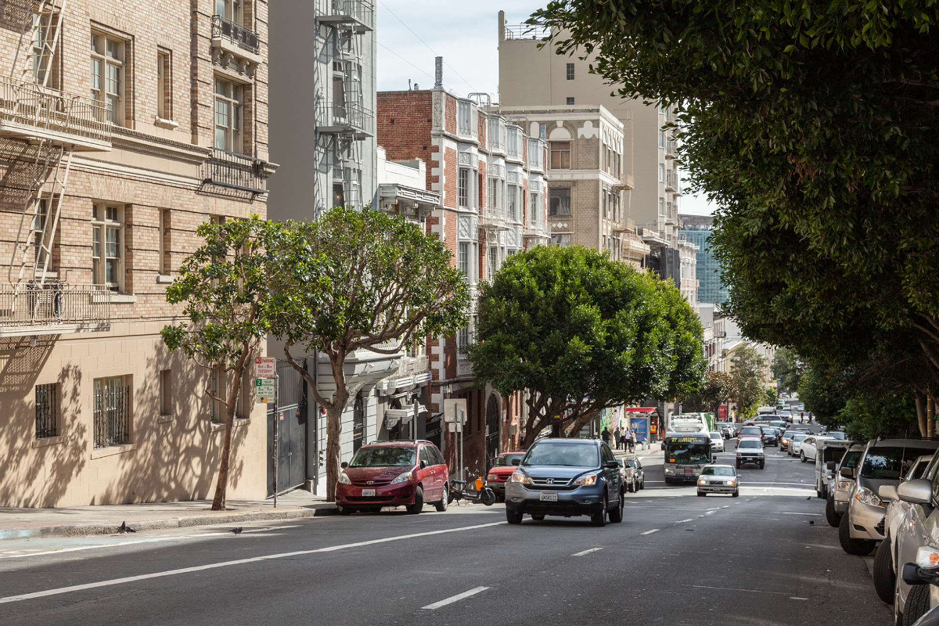 Lower Pacific Heights Neighborhood Photo 2