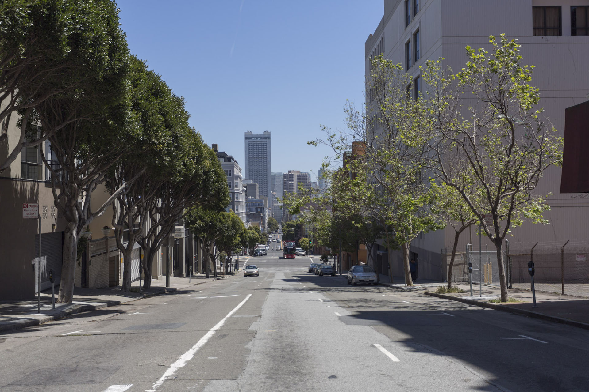 Lower Pacific Heights Neighborhood Photo 4