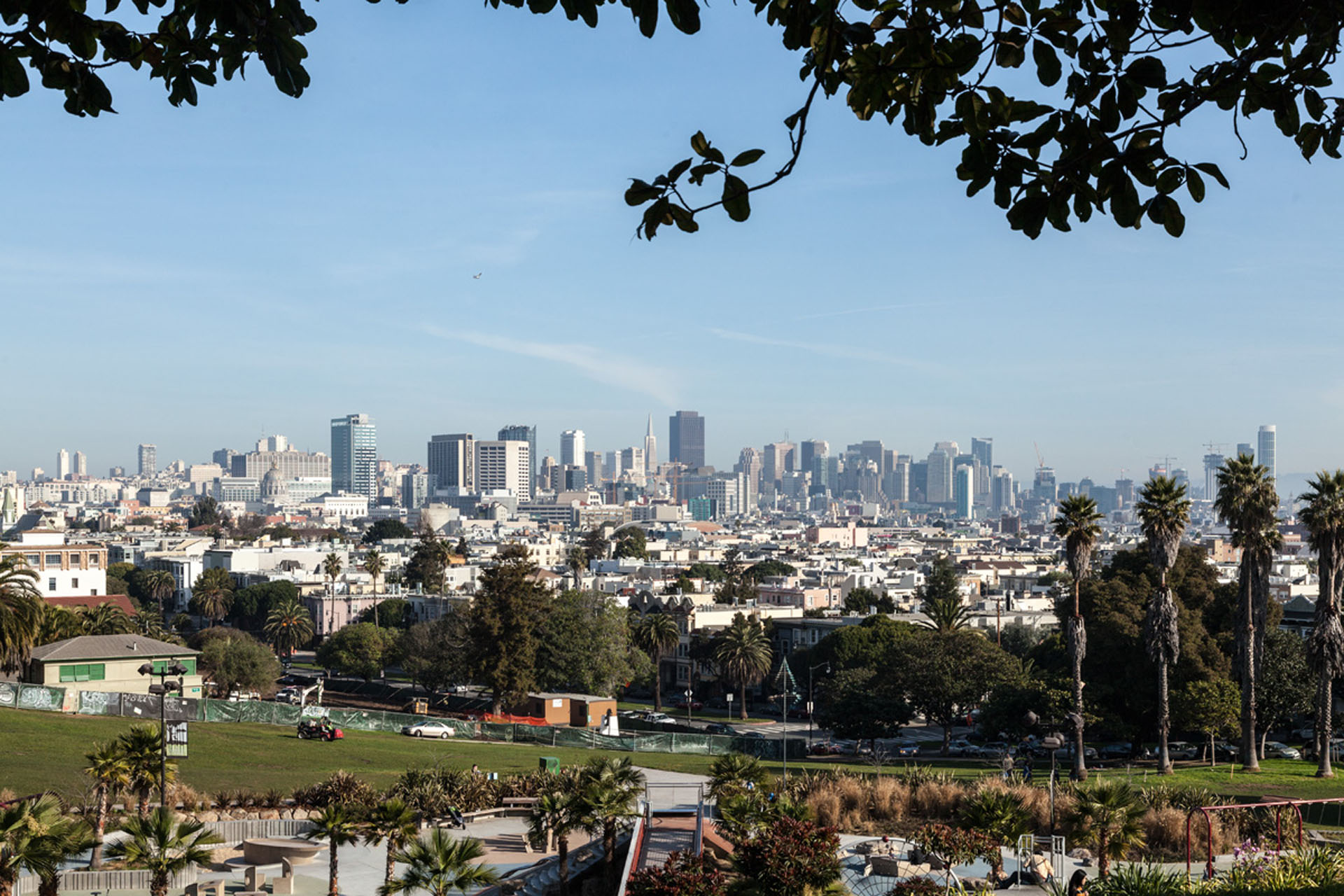 Mission Dolores Neighborhood Photo 2