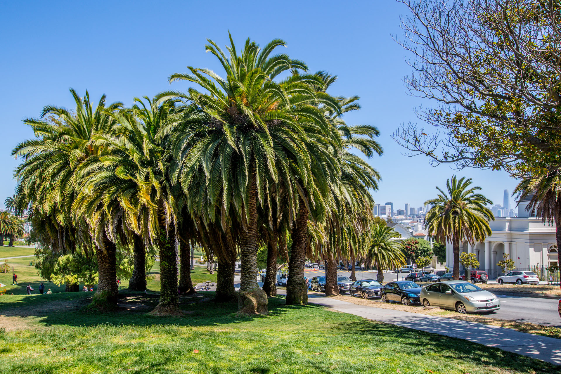 Mission Dolores Neighborhood Photo 5