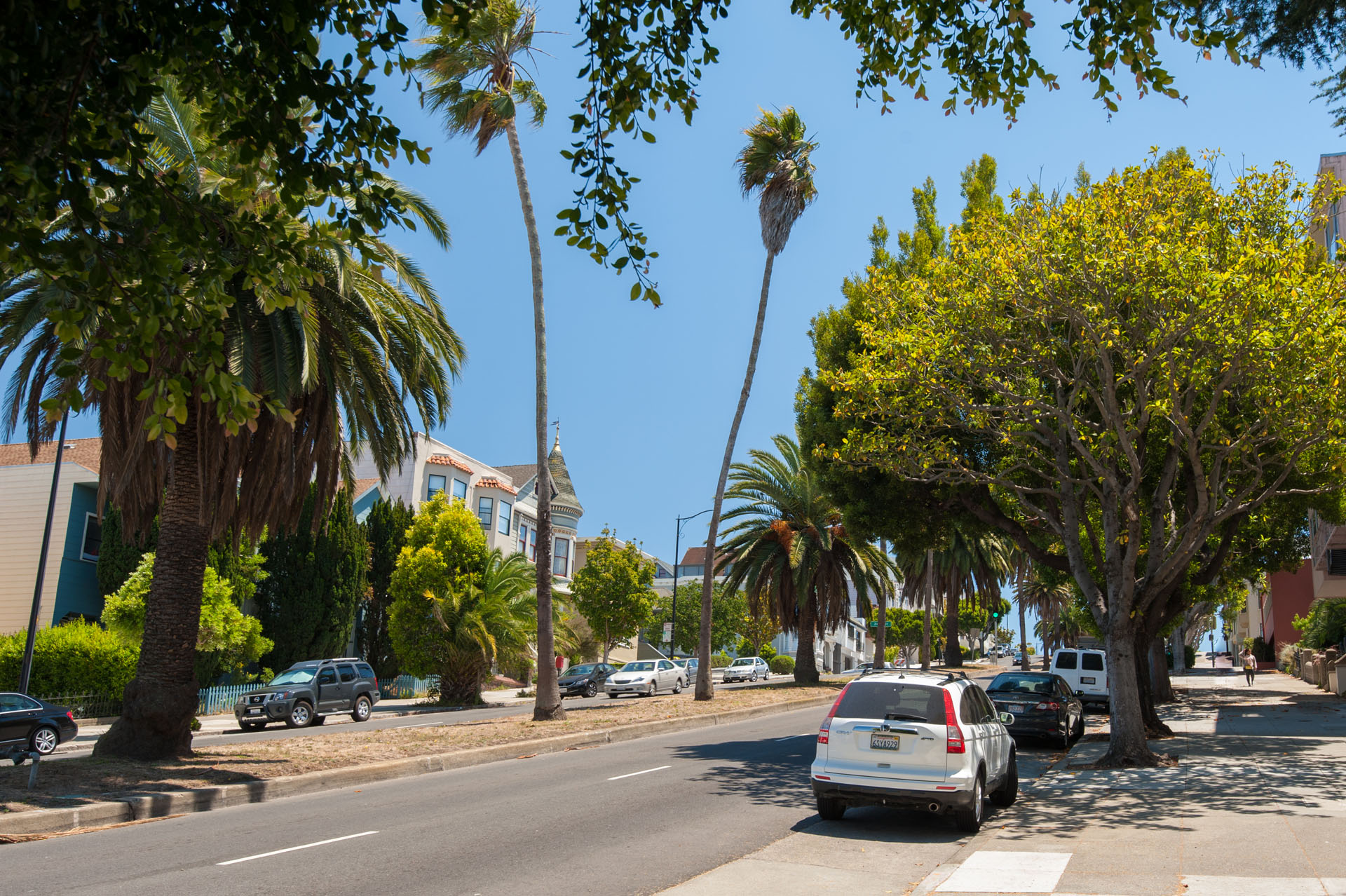 Noe Valley Neighborhood Photo 1