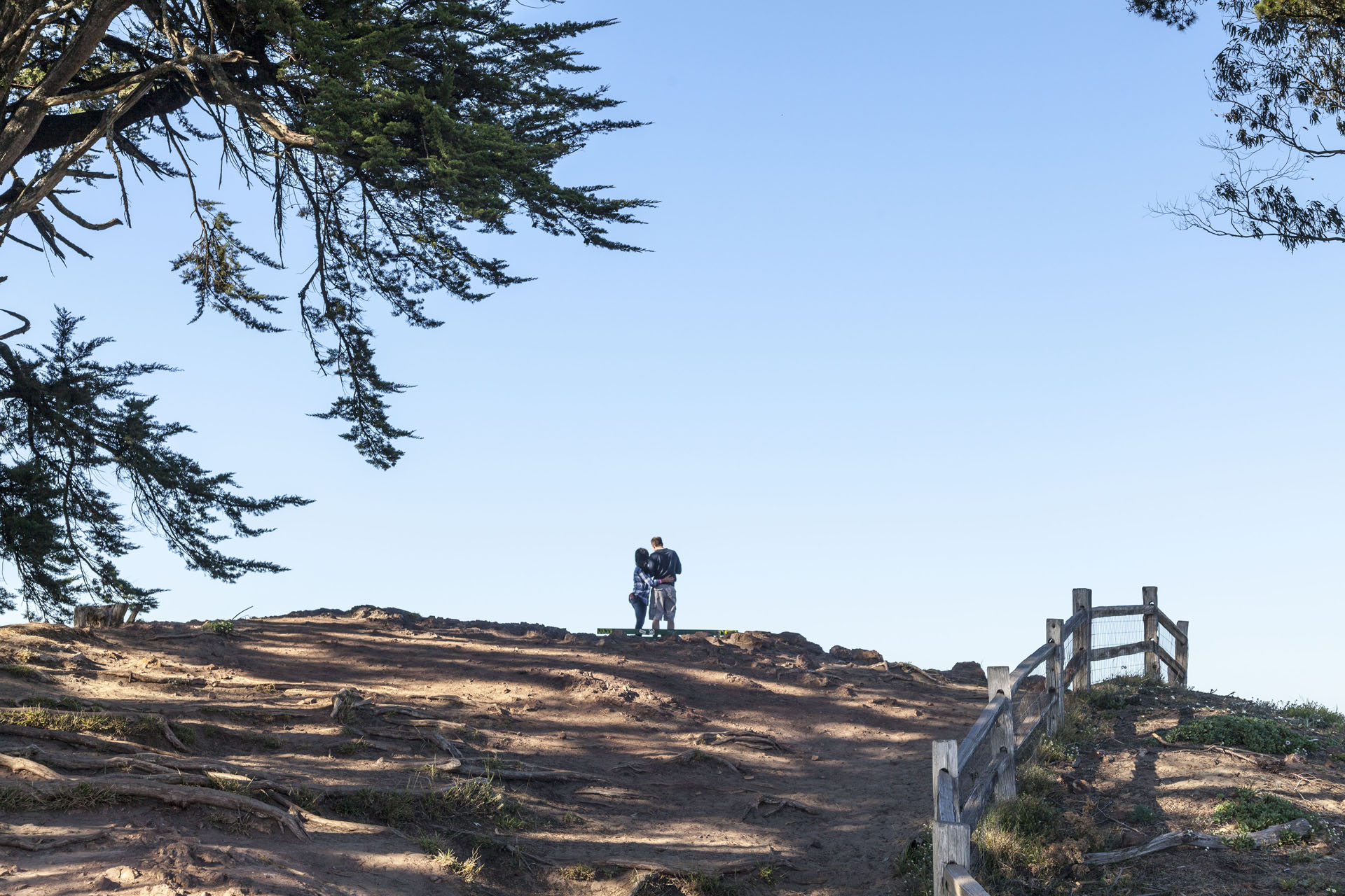 Outer Sunset Neighborhood Photo 3