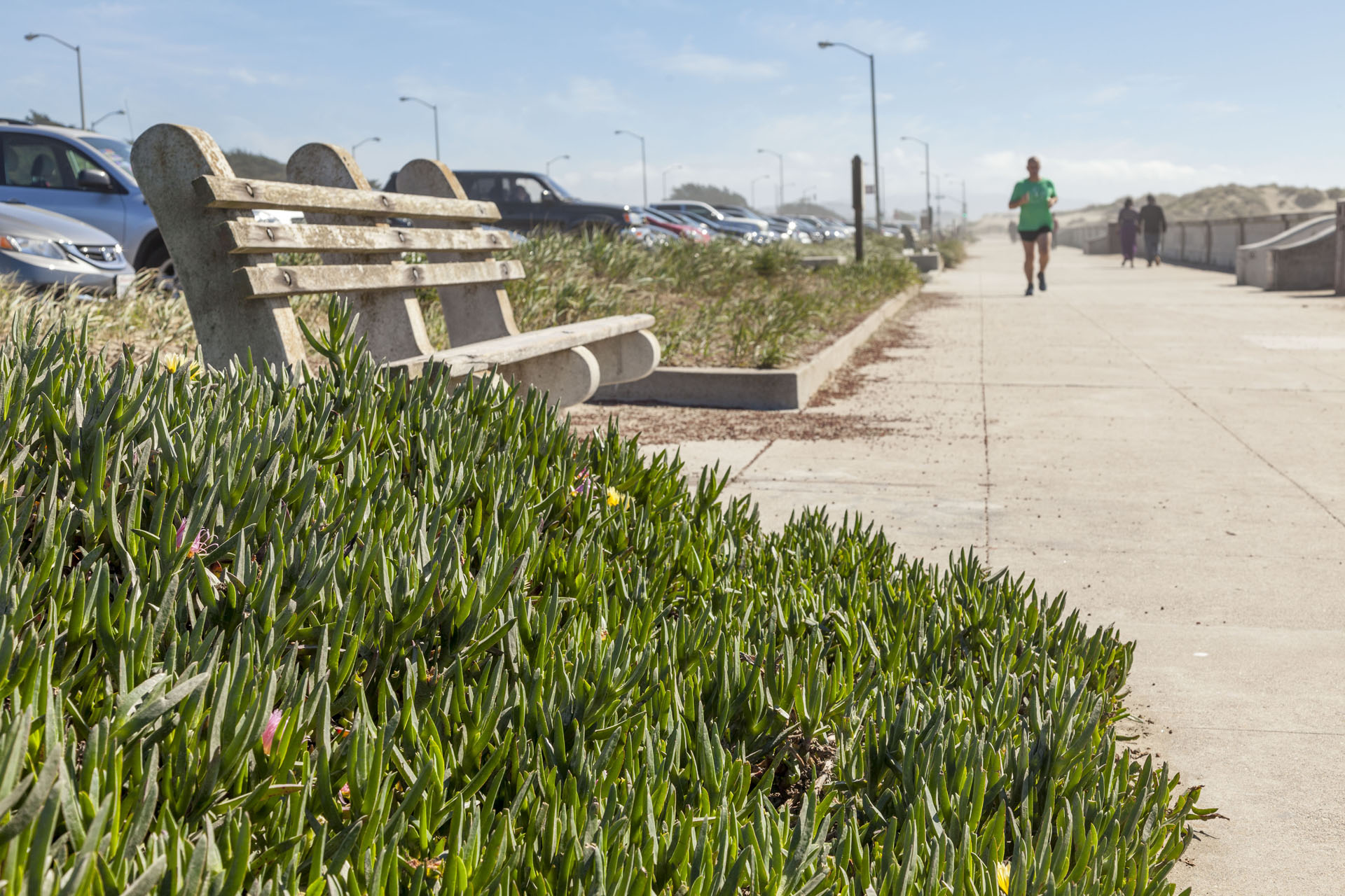 Outer Sunset Neighborhood Photo 2