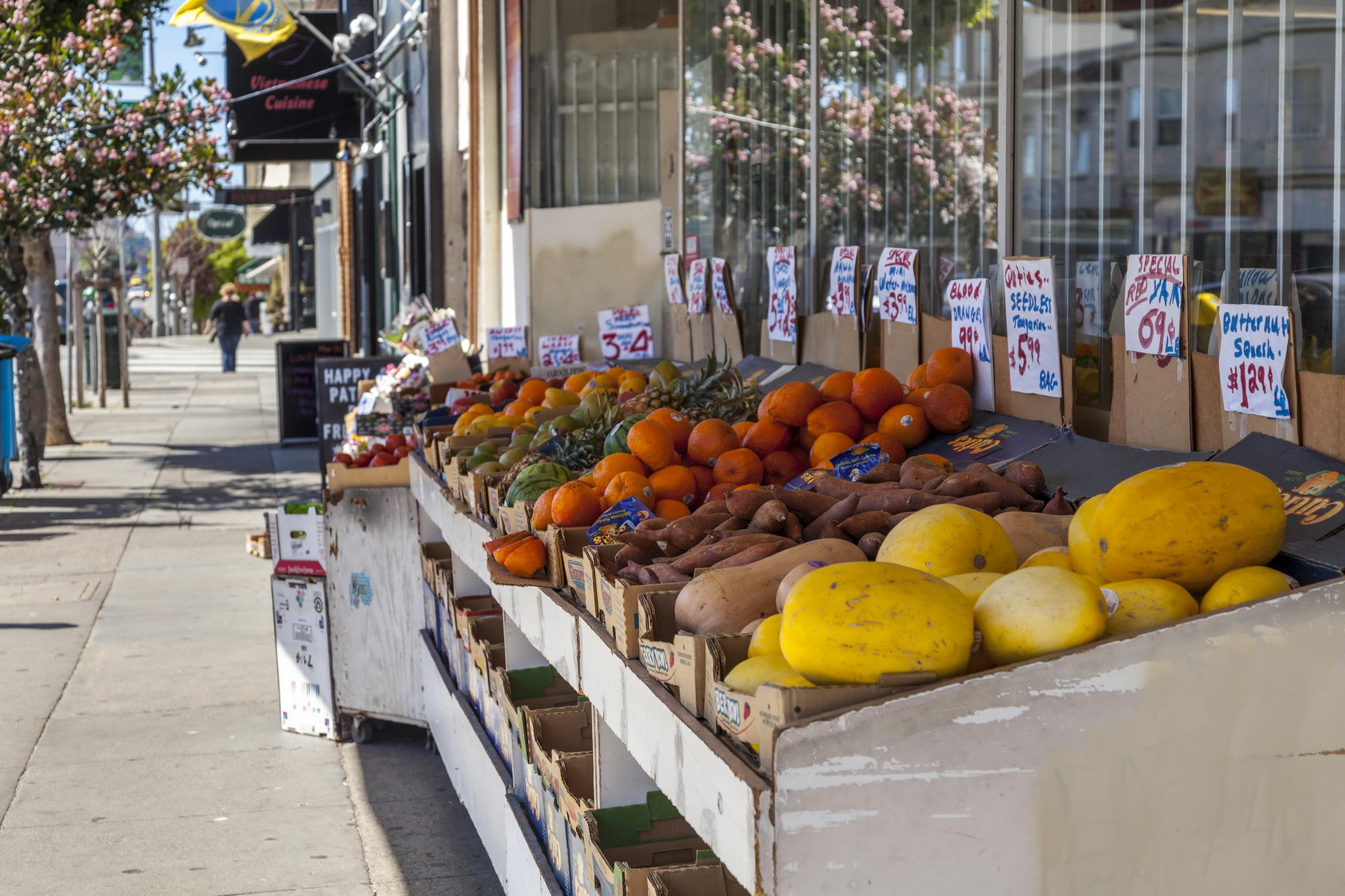 Inner Sunset Neighborhood Photo 2